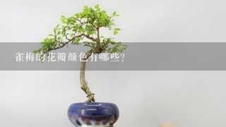 雀梅的花瓣颜色有哪些?