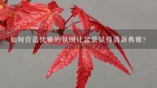 如何营造优雅的氛围让盆景显得清新典雅?