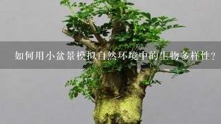 如何用小盆景模拟自然环境中的生物多样性?